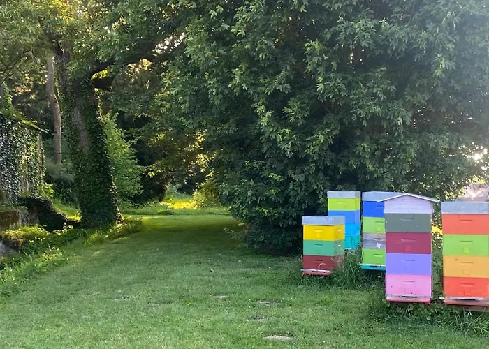 Tiny House Des Cyclamens St Andre Sur Orne * Saint-Andre-sur-Orne